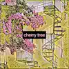Joey Hanson - Cherry Tree - Single